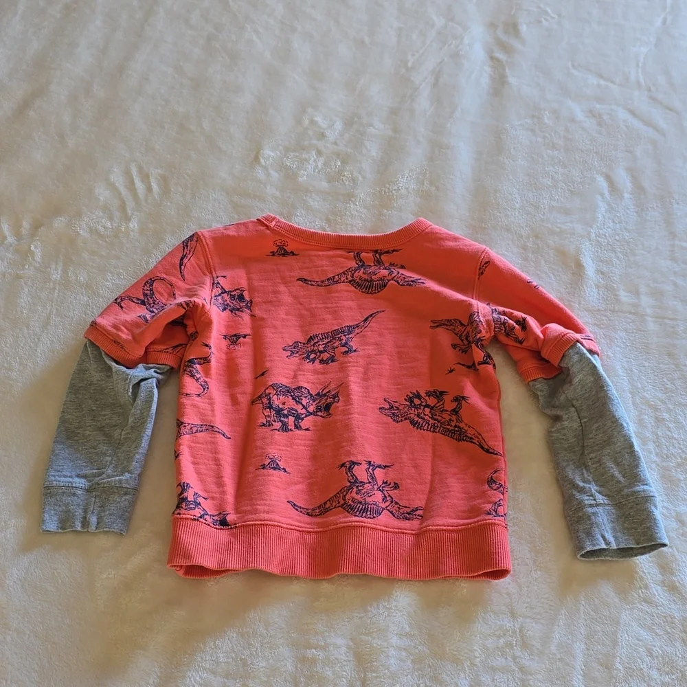 Carters carters dinosaur